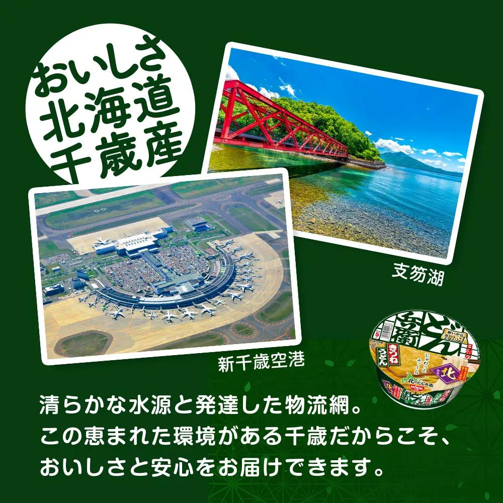 【 定期便 6カ月 】日清 北のどん兵衛 きつねうどん [ 北海道 仕様]24個
