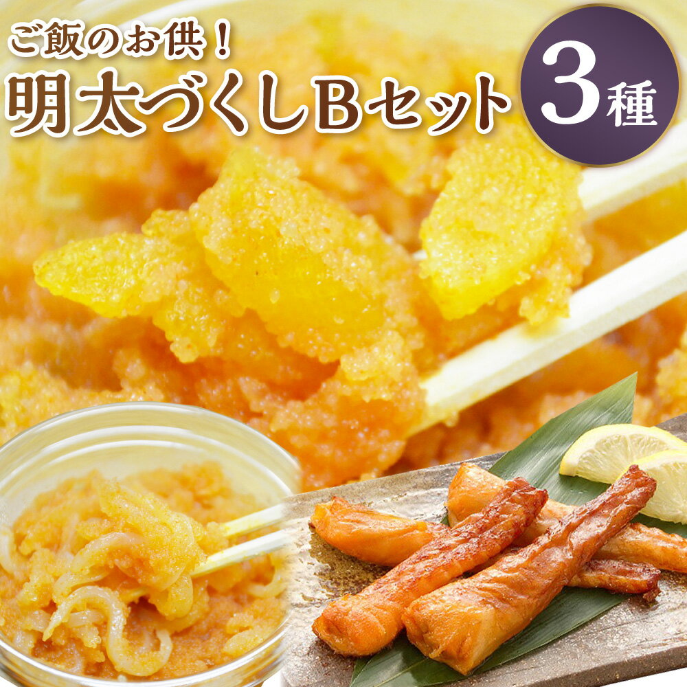【ふるさと納税】ご飯のお供！明太づくし Bセット（数の子明太子・いか明太子・サーモンハラス明太漬）ごはんのお供 おつまみ 数の子 明太子 イカ イカ明太 サーモンハラス サーモン 明太漬 和え物 3種 セット 冷凍 お取り寄せ 送料無料
