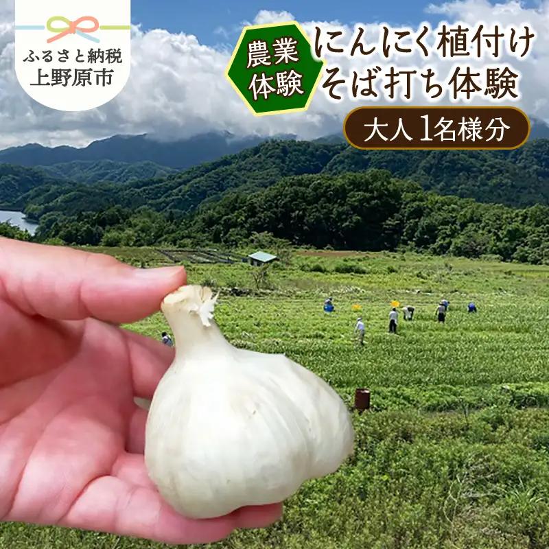 【農業体験】にんにく植付け＋そば打ち体験（大人1名様分）