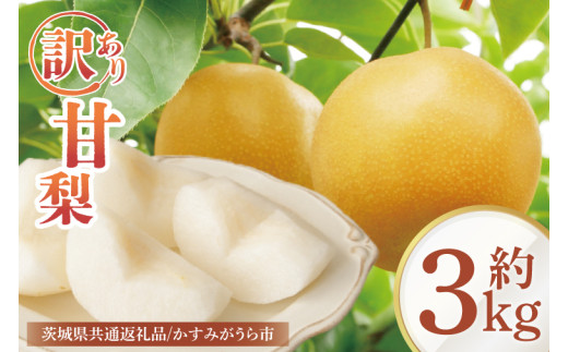 【8月中旬より発送】【数量限定】訳あり 甘梨（なし） 約3㎏（茨城県共通返礼品／かすみがうら市）【果物 くだもの フルーツ 梨 ナシ なし 採れたて 新鮮 完熟 わけあり 期間限定 産地直送 茨城県 