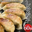 【ふるさと納税】しそ餃子　計60個(20個入り×3)※着日指定不可