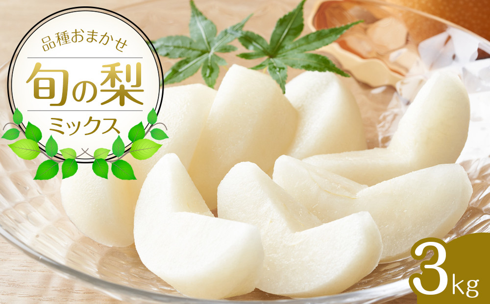 308.【先行予約】【品種はおまかせ】旬の梨ミックスセット 3kg　※2025年8月下旬～12月下旬頃に順次発送予定 313726_AN078