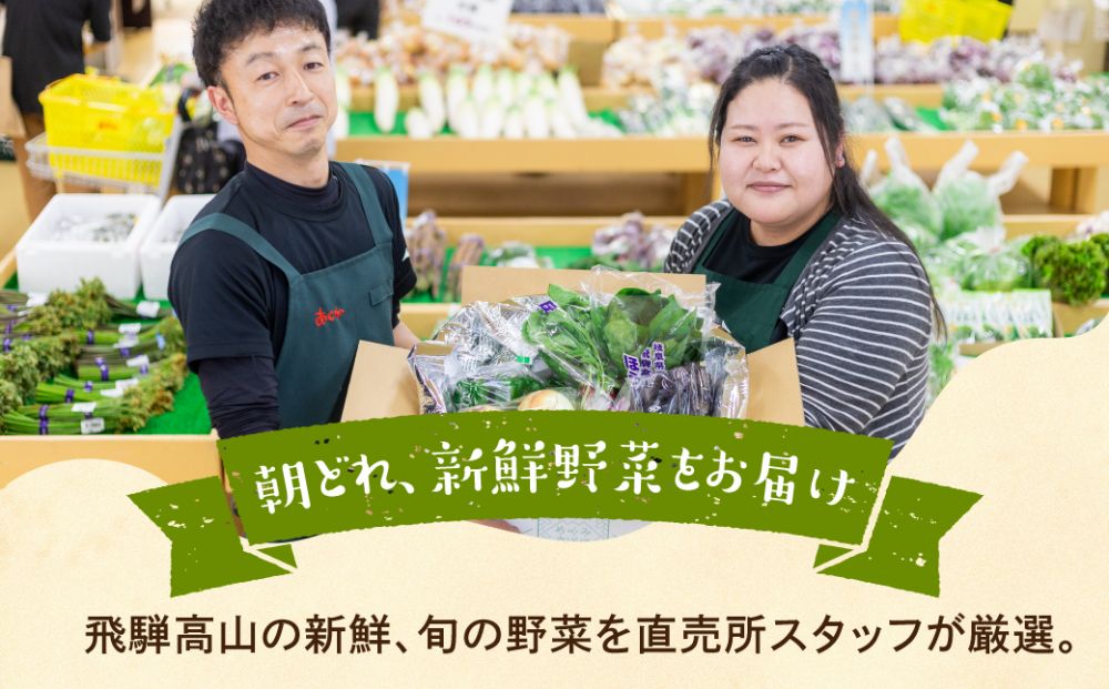 飛騨 野菜セット 6〜7点  飛騨高山産 野菜  秋野菜 おまかせ お取り寄せ 新鮮 産地直送 飛騨産 夏  秋 秋野菜  サラダ     あじか TR3076