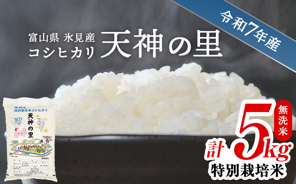 令和7年産 富山県産 特別栽培米 コシヒカリ 天神の里 ５kg  