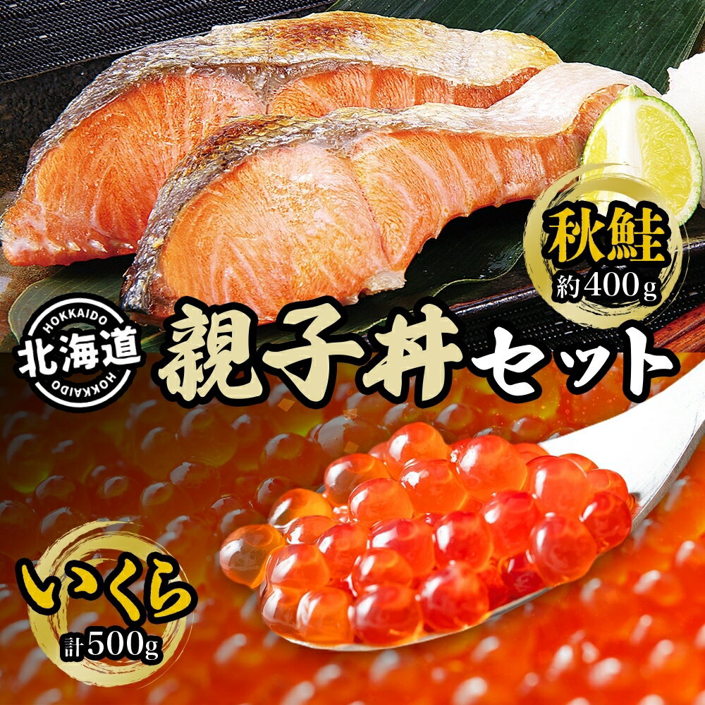 【ふるさと納税】秋鮭といくらの親子丼セット(甘塩秋鮭切身1切 約100g×4切、いくら醤油漬け250g×2個) サーモン 魚貝類 魚卵 加工食品 　お届け：2025年2月より順次出荷