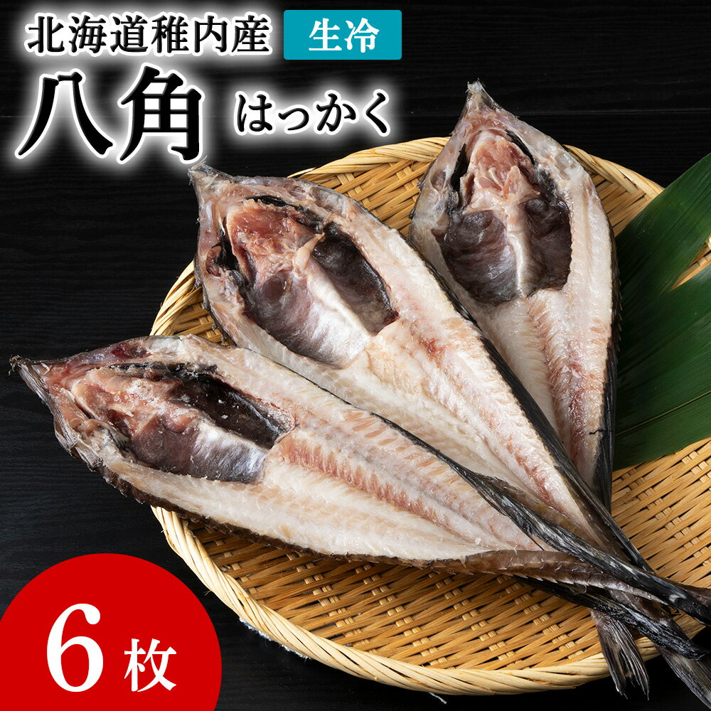 【ふるさと納税】稚内産生冷八角 6枚白身魚 高級魚 八角 トクビレ 希少 海鮮 海産物 北海道ふるさと納税 稚内 ふるさと納税 北海道 【配送不可地域：離島・沖縄県】