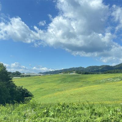 ふるさと納税 羽後町 【有機肥料】羽後ユーキ(C/N比13以上)40L(約12kg)×5個[No.5325-0466] |  | 03