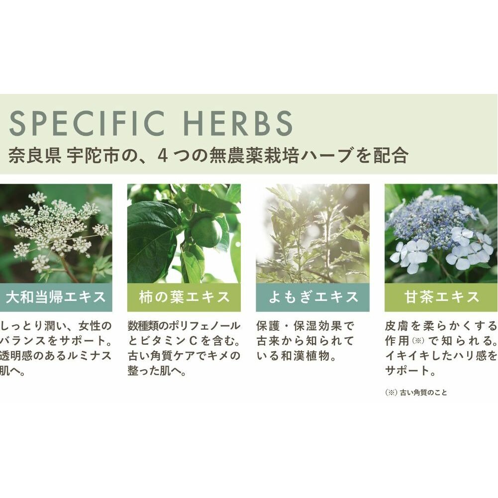 毎月定期便 SELALY (セラリー) ルミヌ クリーム クレンジング 全6回 ふるさと納税 化粧メイク落とし スキンケア 大和当帰 天然精油 コスメ 漢方 ハーブ 母の日 女子力 美容男子 送料無料