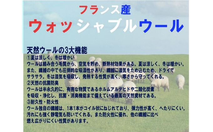 ウォッシャブル ウール ベッドパット シングル 近江布団 洗える ベッドパット 布団 寝具 米原市