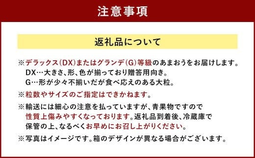 福岡県産 あまおう 4パック＆練乳 いちご 苺 フルーツ 国産 セット【2024年11月下旬～2025年3月下旬発送予定】