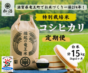 【 新米予約 】 定期便 3ヶ月 コシヒカリ 白米 5kg 縁起の竜王米 ( 令和6年産 先行予約 新米 こしひかり ｺｼﾋｶﾘ こしひかり ｺｼﾋｶﾘ こしひかり ｺｼﾋｶﾘ こしひかり ｺｼﾋｶﾘ こしひかり ｺｼﾋｶﾘ こしひかり ｺｼﾋｶﾘ ) こしひかり ｺｼﾋｶﾘ こしひかり ｺｼﾋｶﾘ こしひかり ｺｼﾋｶﾘ こしひかり ｺｼﾋｶﾘ こしひかり ｺｼﾋｶﾘ こしひかり ｺｼﾋｶﾘ こしひかり ｺｼﾋｶﾘ こしひかり ｺｼﾋｶﾘ こしひかり ｺｼﾋｶﾘ こしひかり ｺｼﾋｶﾘ こしひかり ｺｼﾋ