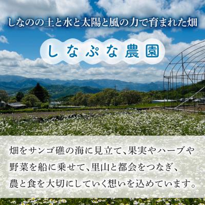 ふるさと納税 東御市 【しなぷな農園】しなぷなピクルス詰め合わせ(5本セット) |  | 02