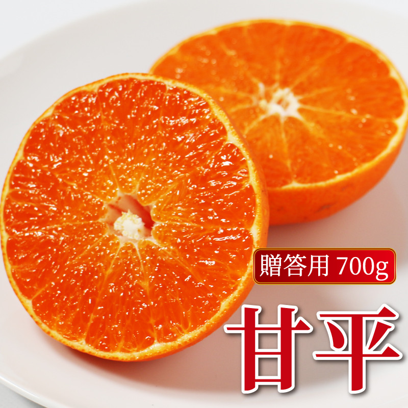 
            数量限定 贈答用 甘平 約700g みかん 蜜柑 柑橘 果物 フルーツ 高級 人気 糖度 ビタミン 健康 美容 ブランド 国産 減農薬  除草剤不使用 有機肥料使用 プレゼント 贈答 ギフト 愛媛県 愛南町  吉本農園 送料無料 発送期間:2月～なくなり次第
          