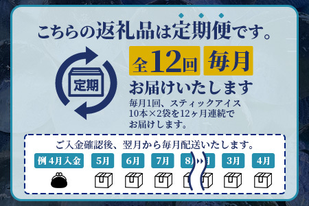 定期便 (12回定期便) さがん氷 かちわり氷 スティックアイス 10本×2セット 合計240本 L-55 藤津製氷 こおり 氷 ロック アイス 佐賀 鹿島 九州