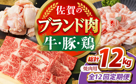 【全12回定期便】佐賀のお肉焼肉セット（牛肉・豚肉・鶏肉）【吉祥】 HCW020 焼肉 BBQ