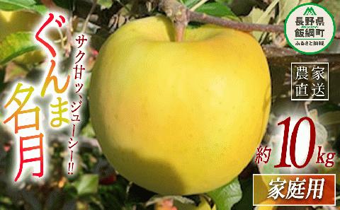 りんご ぐんま名月 家庭用 10kg ファームトヤ 沖縄県への配送不可 2024年11月中旬頃から2024年12月下旬頃まで順次発送予定 令和6年度収穫分 農家直送  長野県 飯綱町 [1425]