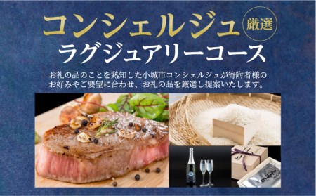 コンシェルジュプラン200（プレミアム 高額 相談 担当者付き）  H200-001