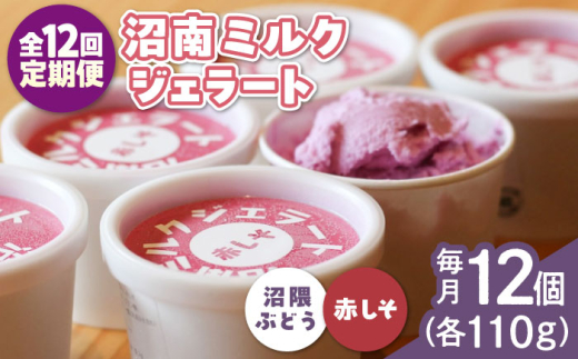 【全12回定期便】アイス 沼南ミルクジェラート 沼隈ぶどう＆赤しそ 各6個 食べ比べセット ぶどう 赤しそ ジェラート セット アイスクリーム デザート スイーツ ご当地 ニューベリーA ゆかり グルメ お取り寄せ お土産 食べ比べ 冷凍 贈答 贈り物 濃厚 さっぱり ミルク 味わい 新鮮 果物 特産品 美味しい おいしい 贅沢 カップアイス 定期便 広島県福山市/甚ごろう [BAEC052]