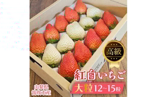 【山梨県笛吹市】贈答用 紅白いちご大粒12～15粒入り一箱 164-001