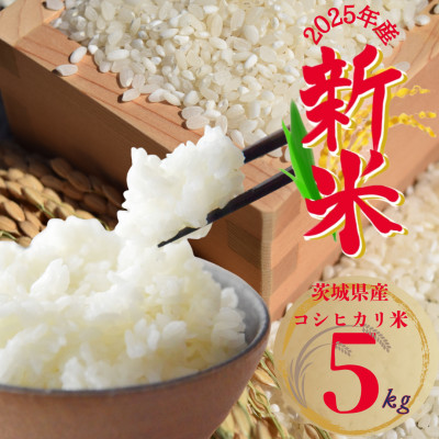 2025年 茨城県産 コシヒカリ米(精米)5kg