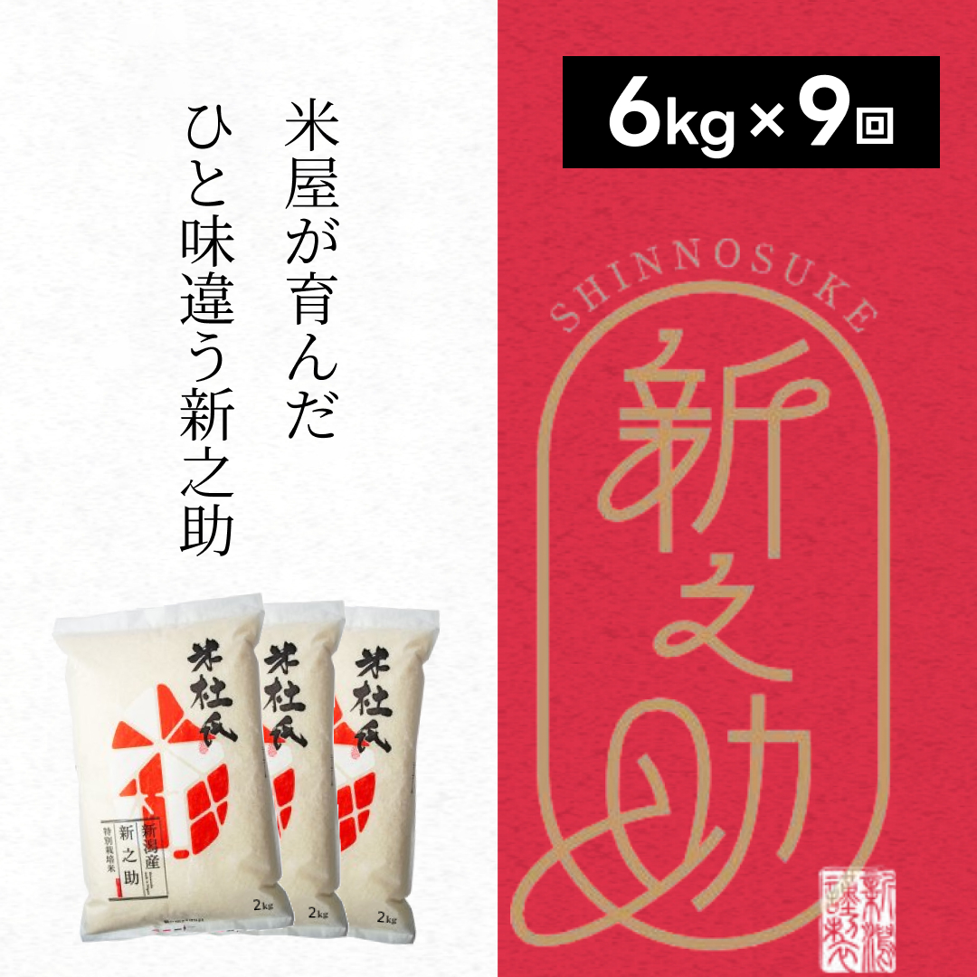 【令和7年産】 9ヶ月定期便 特別栽培米 新之助 6kg (2kg×3袋)×9回 米杜氏 壱成 白米 精米 大粒 つや 光沢 弾力 芳醇 新潟県 米 こめ コメ 1H25199