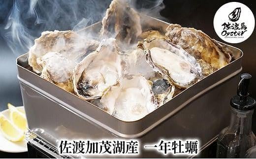 
【佐渡加茂湖産】 一年牡蠣のカンカン焼き（殻付き牡蠣約2kg）
