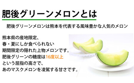 肥後グリーンメロン 2玉 （約3～4kg） めろん 果物 くだもの フルーツ 国産 九州 熊本県 熊本市 常温 【2026年5月下旬～7月下旬迄順次発送予定】