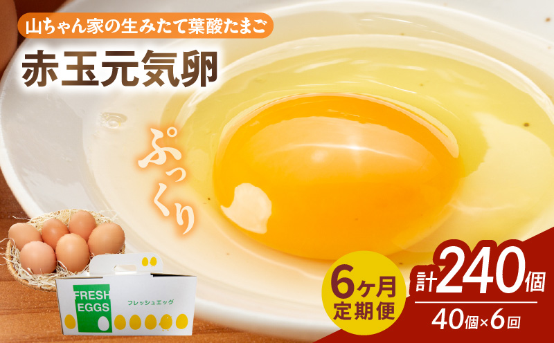【6ヶ月定期便】【山ちゃん家の生みたて葉酸たまご】赤玉元気卵（40個入り）［132Y08-T］