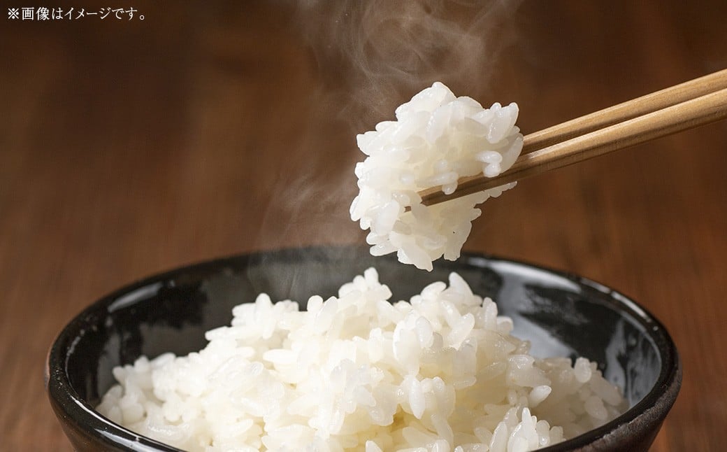 岡山県 美咲町産 きぬむすめ 5kg 令和7年産米先行予約 ／ 白米 お米 米 【2025年11月上旬-2026年10月下旬発送予定】