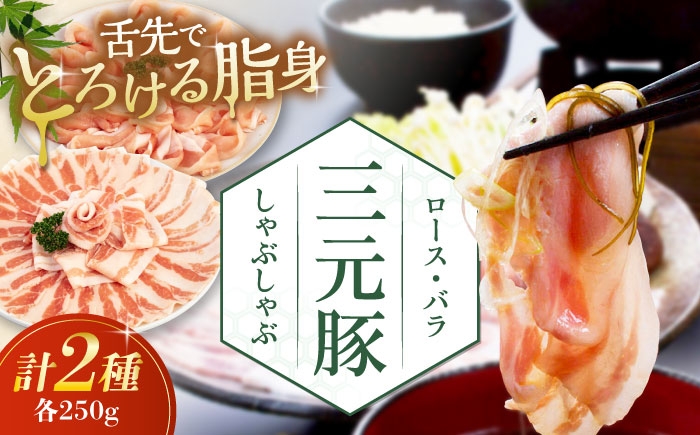 
            平田牧場 しゃぶしゃぶセット 500g (ロース・バラ) ※だし・昆布ナシ 《喜茂別町》【平田牧場】 しゃぶしゃぶ すき焼き 豚肉 豚ロース 三元豚 ロース バラ 豚バラ セット [AJAP066] 9000 9000円
          