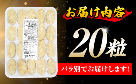 テレビで話題！広島県産 鍛え牡蠣 冷凍かきフライ 20粒×1袋 人気 簡単 レシピ ギフト カキフライ 江田島市/有限会社寺本水産[XAE015]