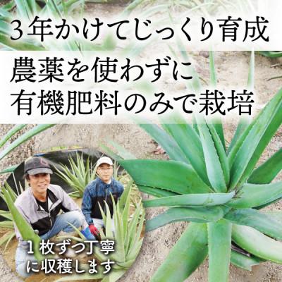ふるさと納税 宮城県 【食用】朝採り アロエベラ生葉 5kg(5枚〜10枚)3年物  宮城県産 |  | 03