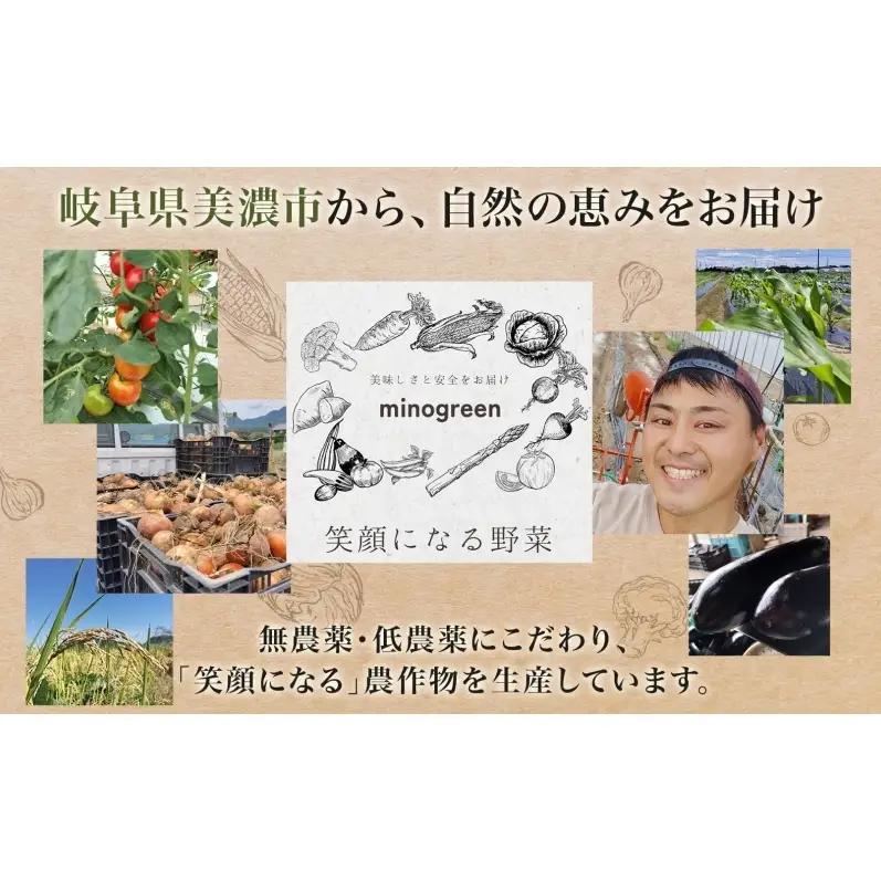 ＜先行予約＞令和8年産 はつしも 精米 30kg×1袋 低農薬 新米 お米 白米 米 ごはん 米 ご飯 ハツシモ R8年産 あっさり ブランド米 お取り寄せ 産地直送 送料無料 美濃グリーン 岐阜県 