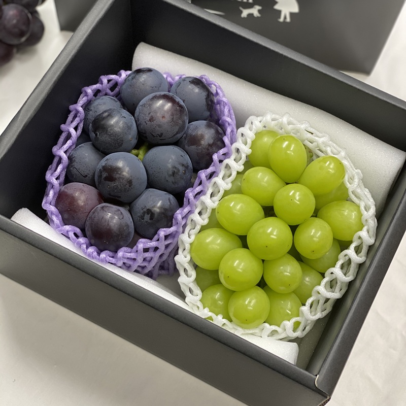 ぶどう 2026年 先行予約 農家こだわりの シャイン マスカット ＆ オーロラブラック 2房 合計約1.0kg ご家庭用クラス 葡萄 岡山県産 国産 フルーツ 果物 ギフト 【 Nini farm 