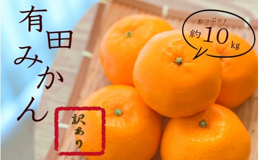 紀州有田みかん 約10kg 訳あり　キズ　御家庭用　サイズ混合 【sml110C】