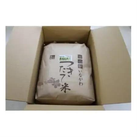 【毎月定期便】猪名川町のお米・キヌヒカリ(玄米)30kg×全2回【4086361】