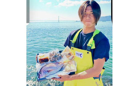 明石産鯛・蛸アソートパック（4種類）