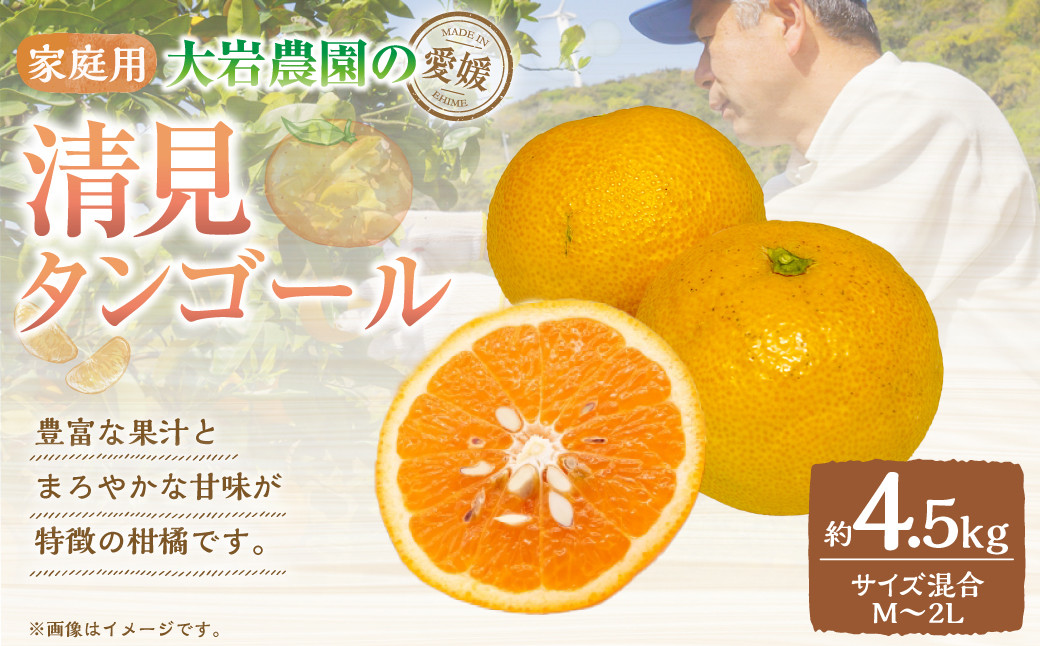 
                  大岩農園の清見タンゴール 家庭用 約4.5kg 果物 フルーツ みかん ミカン 柑橘  【えひめの町（超）推し！（伊方町）】【2027年3月上旬-4月上旬発送予定】 (491)
                