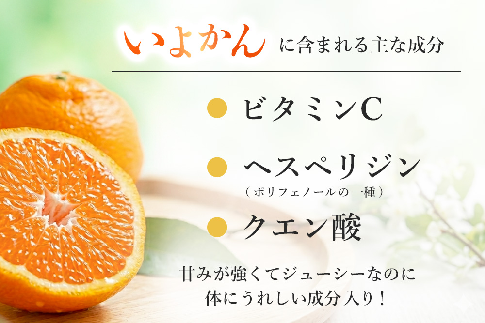 【2027年1月中旬より発送開始】伊予柑orポンカン 約10kg【みかん 柑橘 ぽんかん フルーツ デザート お楽しみ】(H116157)