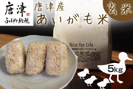 『先行予約』【令和7年産】唐津産 あいがも米 5kg (玄米) 一粒田 合鴨農法 無農薬 無化学肥料 コメ お米 ごはん