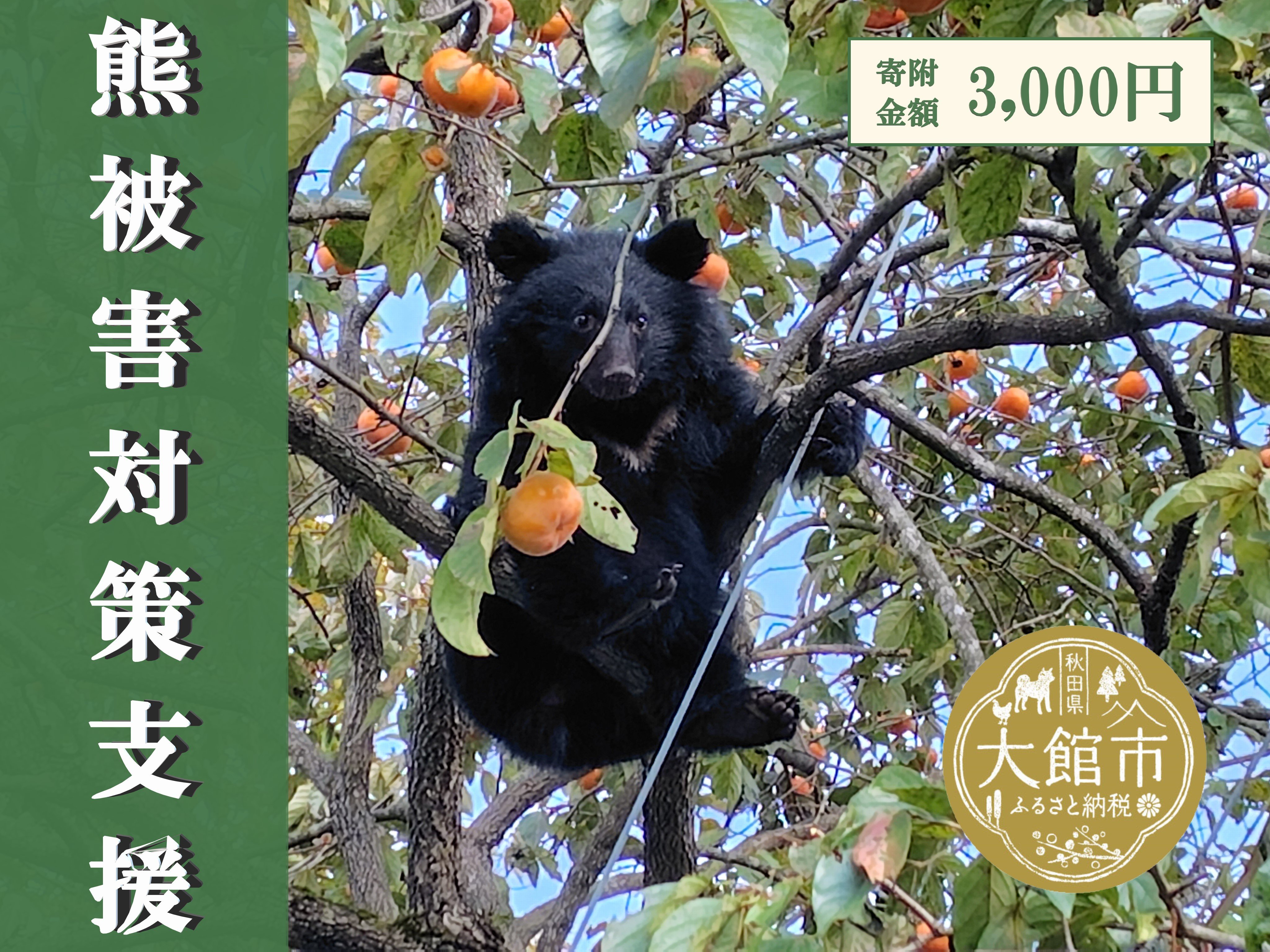 
            【返礼品なし】熊被害対策支援(大館市)
          