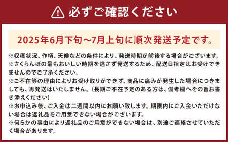 さくらんぼ 佐藤錦 ｢恋の雫｣  約700g (約350g×2パック) 【2025年6月下旬から7月上旬発送予定】／サクランボ フルーツ 果物 くだもの チェリー