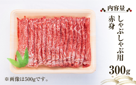 飛騨牛 赤身 しゃぶしゃぶ用 300g 牛肉 国産 焼き肉 A4等級以上 A4 A5 等級 高山米穀 岐阜県 白川村 白川郷 贅沢 冷凍 15000円 [S558]
