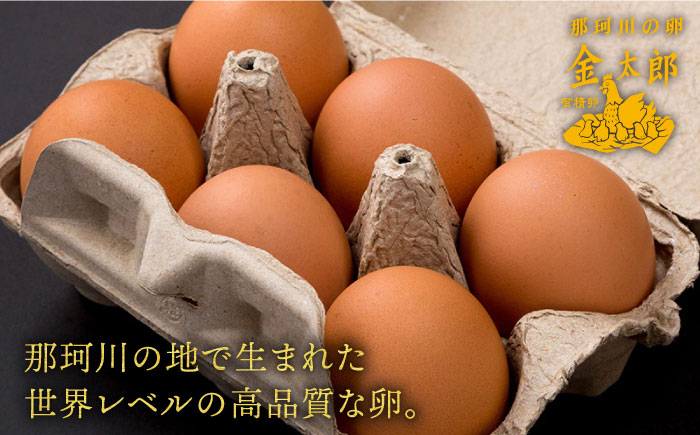 【全12回定期便】【TVで紹介！】鮮度ＡＡ級の世界最高ランク！ 金太郎卵 平飼い たまご 30個（6個×5パック）＜有限会社 フジノ香花園＞那珂川市 [GAM019]