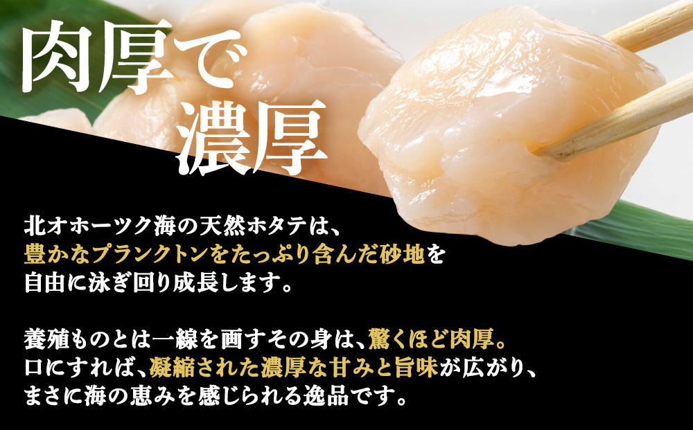【25年10月発送】プレミアム玉冷（-70℃凍結ほたて生貝柱）400g×3箱【化粧箱入】