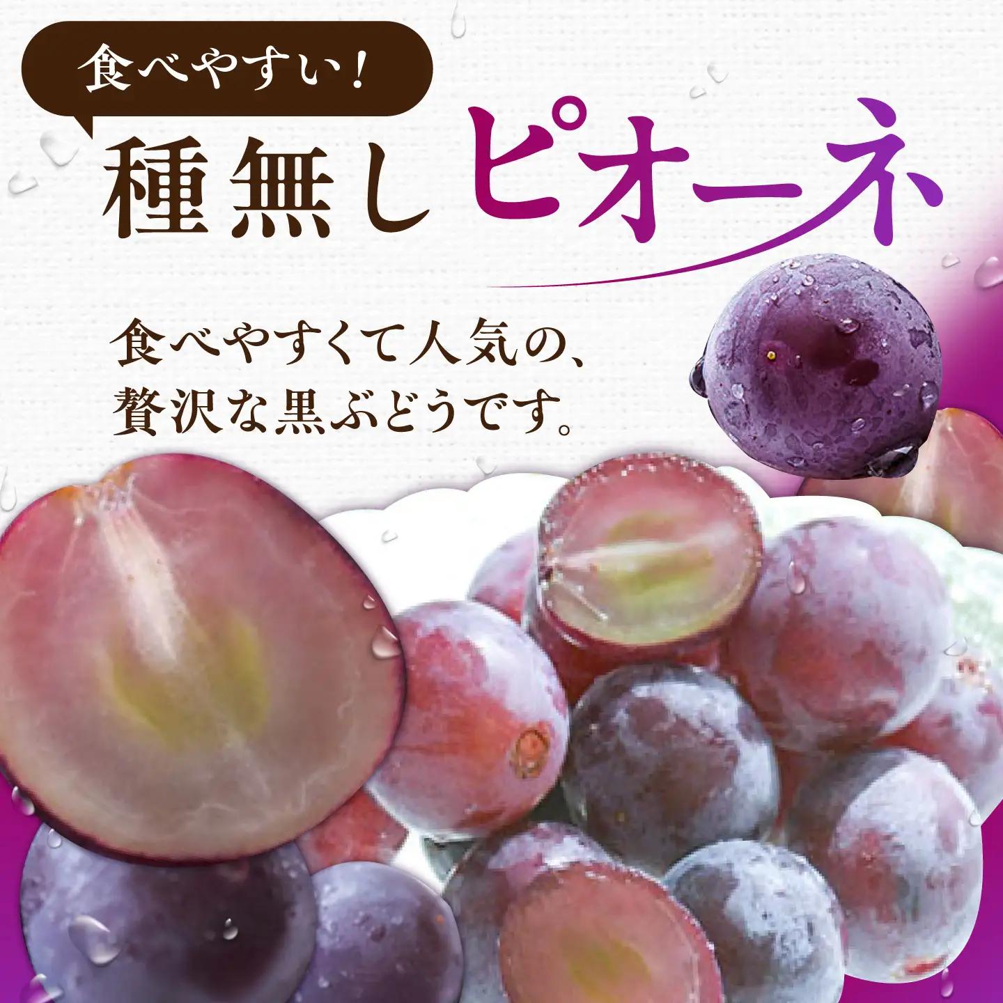 ピオーネ 2パック（約700g） 広川町 / JAふくおか八女農産物直売所どろや[AFAB115]