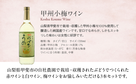 【敷島 赤 ＆ 敷島 白 & 甲州小梅ワイン】720ml × 3本 セット 敷島醸造 白ワイン 赤ワイン わいん 小梅ワイン 辛口 ワインセット 飲み比べ 日本ワイン 国産ワイン 甲州 山梨 甲斐市 