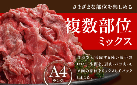 宮崎牛切り落とし1kg≪スキンパック包装でお届け!≫≪みやこんじょ快速便≫_13-2602-R (都城市) 牛肉 切り落とし 宮崎牛 和牛 国産 モモ肉 小分け 200g×5P 肉 牛丼 炒めもの カ
