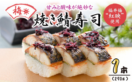 梅焼き鯖寿司 1本 鯖寿司 冷凍 [A-0555]