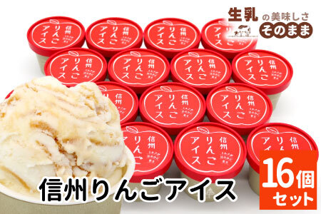 ふじりんごを丸ごと使用★信州りんごアイス 16個 マーブルアイス アイスクリーム アイス りんご ふじりんご りんごソース スイーツ アップル 林檎 10000円 1万円 【スピード発送】